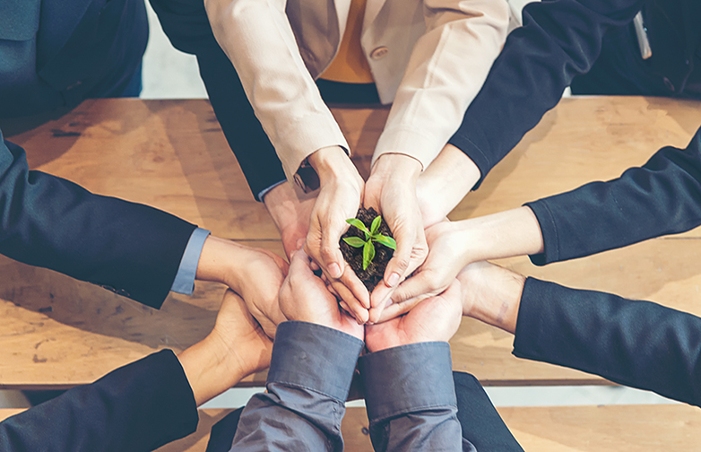 Hands business Team Work Cupping young Plant Nurture Environmental and reduce global warming earth. Ecology Concept
