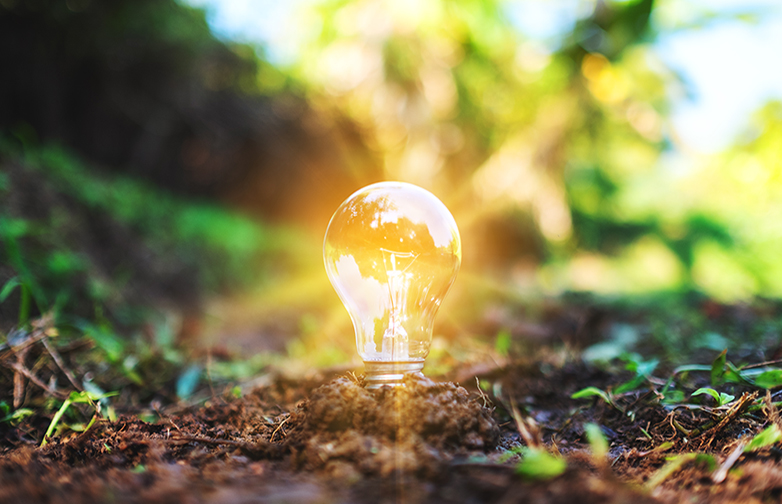 a light bulb glowing on pile of soil