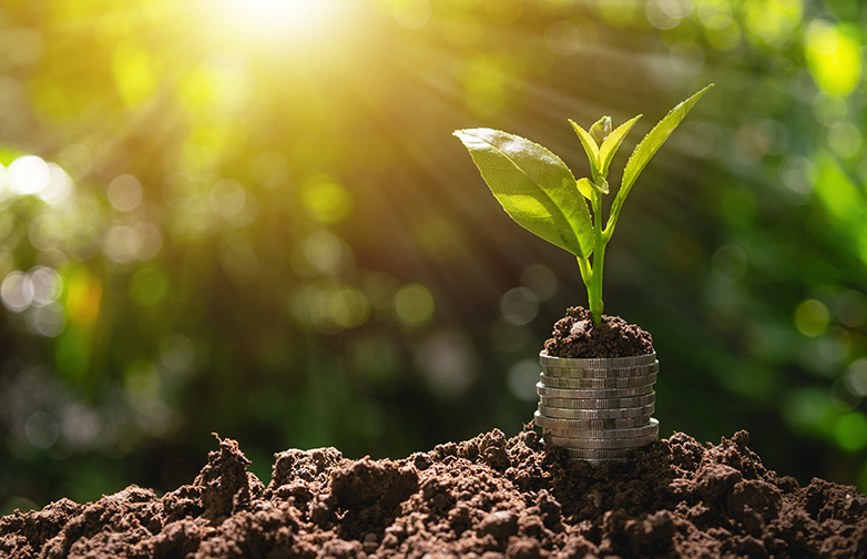 Coins with plant on top put on the soil in green nature background for business growth concept.