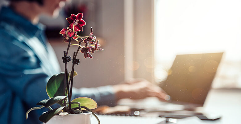 A Small Potted Orchid Sits On A Sunlit Desk, Adding A Touch Of Nature To The Serene Setting. In The Background, A Person Embraces Fully Remote Working, Focused On Their Laptop Amidst This Calming Workspace.