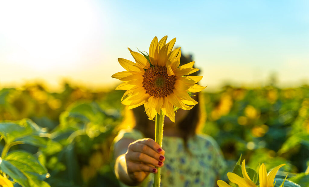 In a sunlit field full of sunflowers, a person holds one at arm's length, embodying the beauty of neurodiversity. The background is softly blurred, highlighting the vibrant yellow flower in the foreground.
