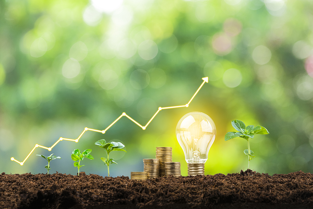 First-Time Cfos: A Growing Trend In Emerging Markets