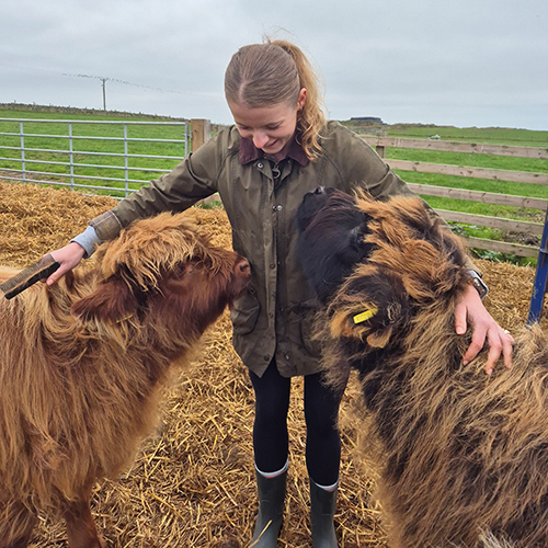 Isabel Hobday personal photo with two highland cows