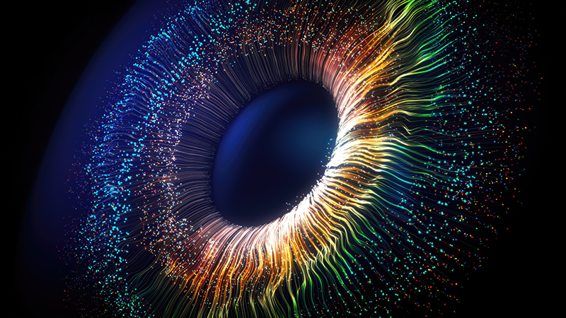 Ai, Talent &Amp; Transformation - Coloured Eye Feature